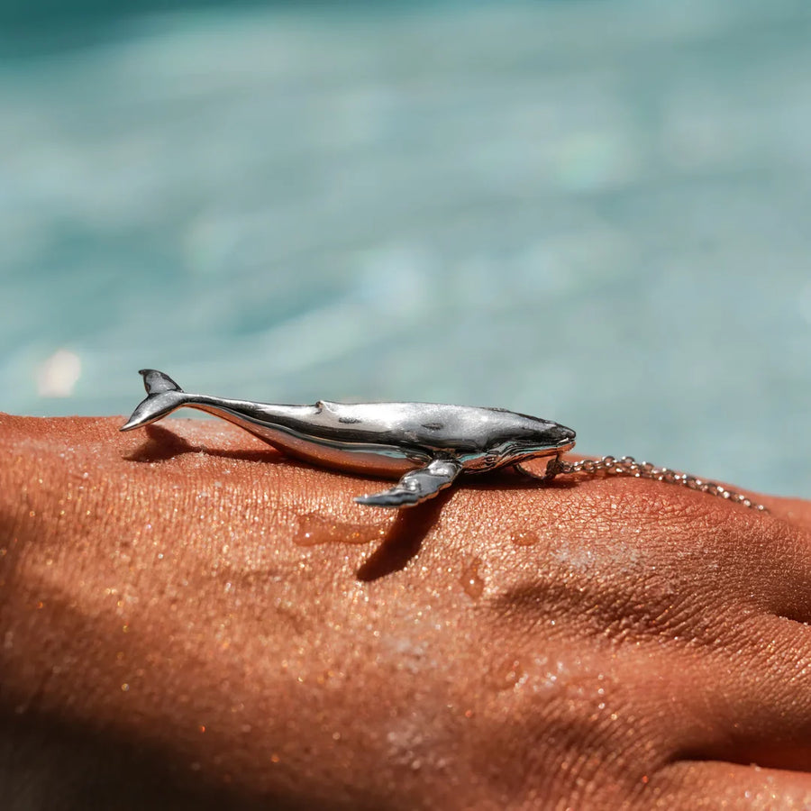 COLLAR BALLENA JOROBADA GRANDE