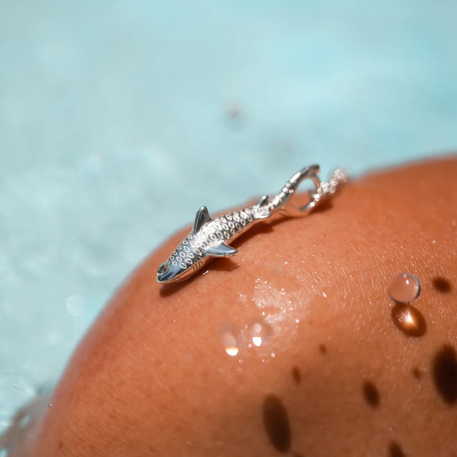 COLLAR TIBURON TIGRE