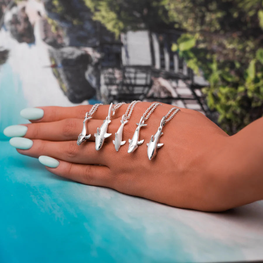 COLLAR TIBURON TIGRE