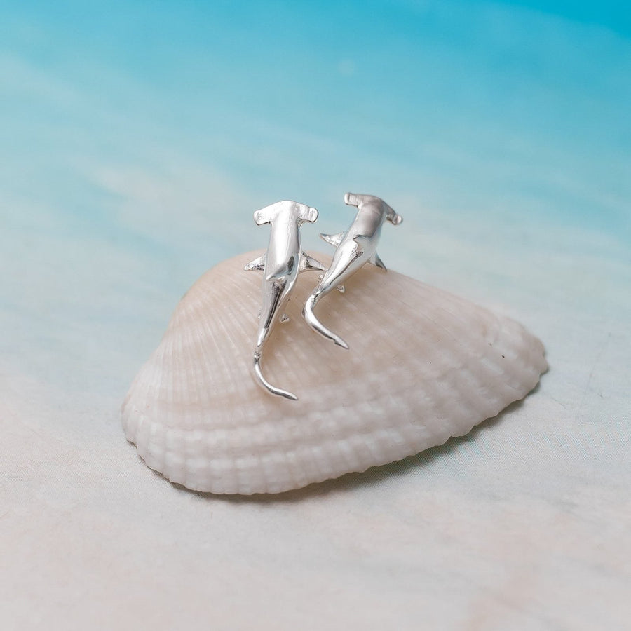 Aretes Pegados Gran Tiburón Martillo sobre concha
