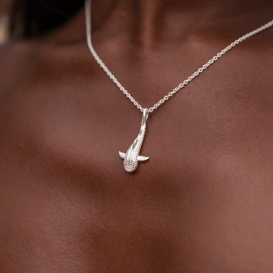 Collar Tiburón Ballena 2.0 en modelo
