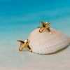 ARETES PEGADOS PEQUEÑAS MANTARRAYAS
