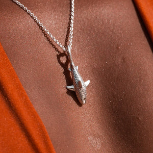COLLAR TIBURON TIGRE